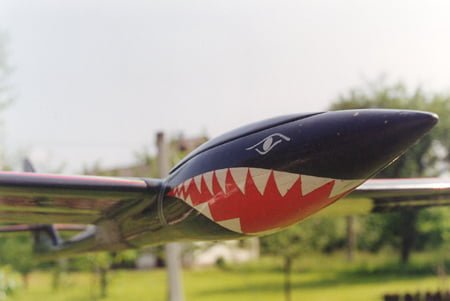 Fast dog - morski pes