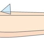 Model čolna Mavrica